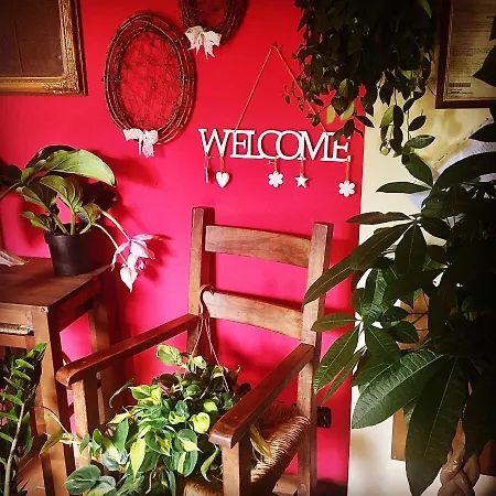 拉费欧里b&b酒店 住宿加早餐酒店