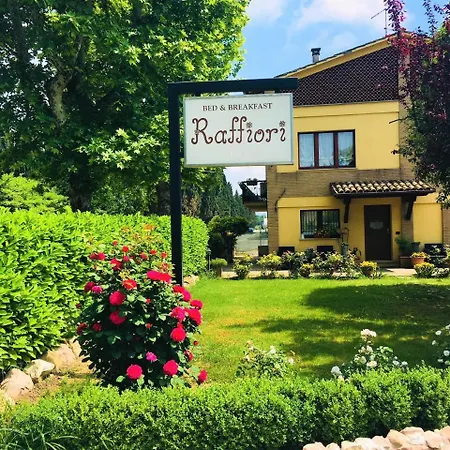 Raffiori 3* Asís
