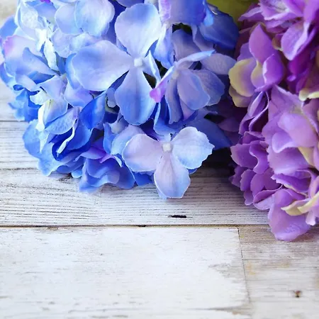 拉费欧里b&b酒店 住宿加早餐酒店 阿西西