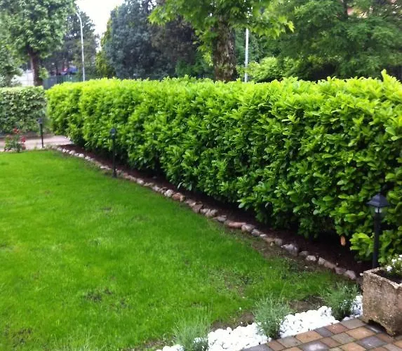 Raffiori Nocleg ze śniadaniem 3*