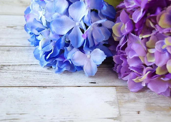 Raffiori Panzió Assisi